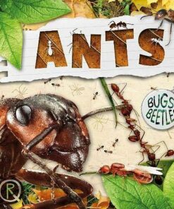 Ants - John Wood - 9781786377258