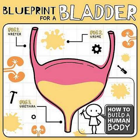 Blueprint for a Bladder - Kirsty Holmes - 9781786377913
