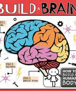 Build a Brain - Kirsty Holmes - 9781786377937