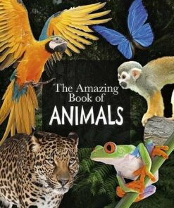 The Amazing Book of Animals - Dr Michael Leach - 9781789508345