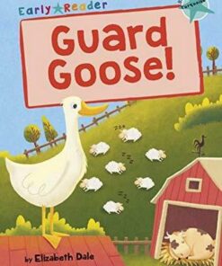 Maverick Early Reader: Guard Goose - Elizabeth Dale - 9781848864450