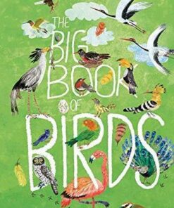 The Big Book of Birds - Yuval Zommer - 9780500651513