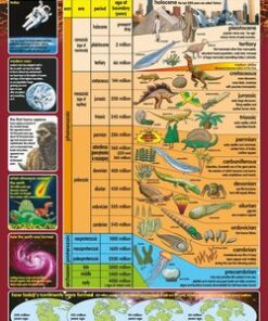 Earth's History Poster -  - 9781904217589