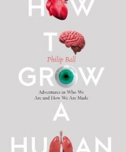 How to Grow a Human: Adventures in Who We Are and How We Are Made - Philip Ball - 9780008331818