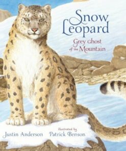 Snow Leopard: Grey Ghost of the Mountain - Justin Anderson - 9781406378283