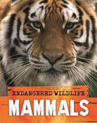 Endangered Wildlife: Rescuing Mammals - Anita Ganeri - 9781526309686