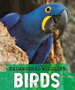 Endangered Wildlife: Rescuing Birds - Anita Ganeri - 9781526309914