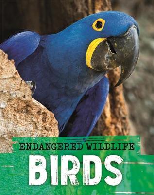 Endangered Wildlife: Rescuing Birds - Anita Ganeri - 9781526309914