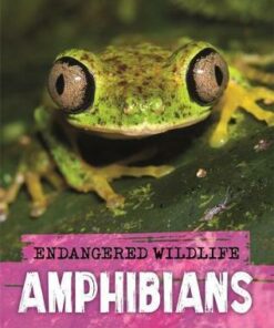 Endangered Wildlife: Rescuing Amphibians - Anita Ganeri - 9781526309952