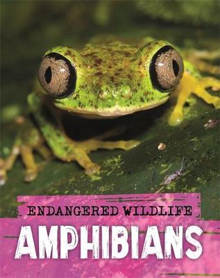Endangered Wildlife: Rescuing Amphibians - Anita Ganeri - 9781526309952