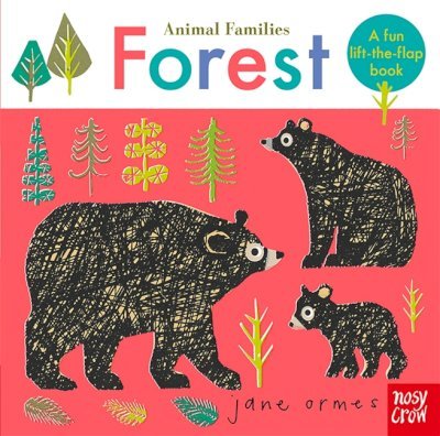 Animal Families: Forest - Jane Ormes - 9781788004589