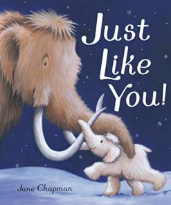 Just Like You! - Jane Chapman - 9781848699342