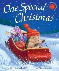 One Special Christmas - M. Christina Butler - 9781848956483