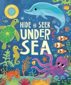 Hide and Seek Under the Sea - Rachel Elliot - 9781912756742