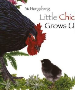 Little Chick Grows Up - Yu Hongcheng - 9789888342020