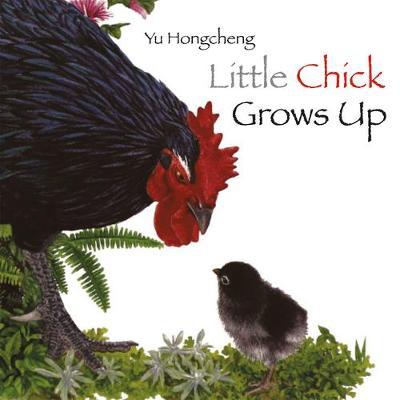 Little Chick Grows Up - Yu Hongcheng - 9789888342020