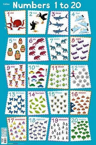 Collins Children's Poster: Numbers 1 - 20 - Steve Evans - 9780008304737