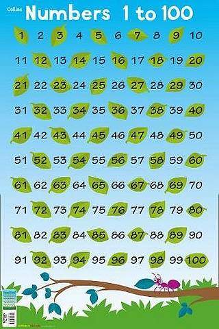 Collins Children's Poster: Numbers 1 - 100 - Steve Evans - 9780008304744