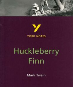 Huckleberry Finn: York Notes - Brian Donnelly - 9780582368309
