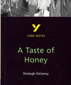A Taste of Honey: York Notes - Bernadette Dyer - 9780582382299
