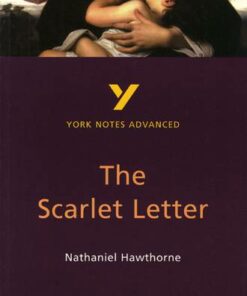 The Scarlet Letter: York Notes Advanced - Julian Cowley - 9780582414730