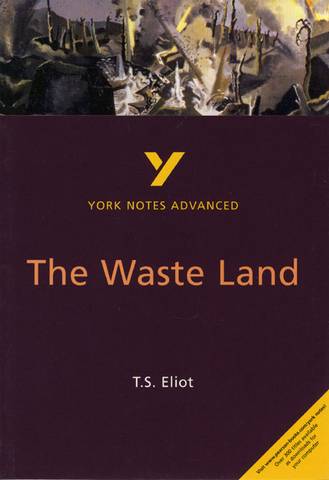 The Waste Land: York Notes Advanced - Alisdair Macrae - 9780582424746