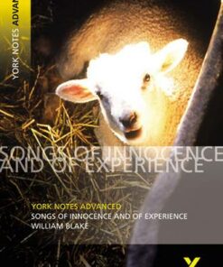 Songs of Innocence and Experience: York Notes Advanced - David Punter - 9780582784338