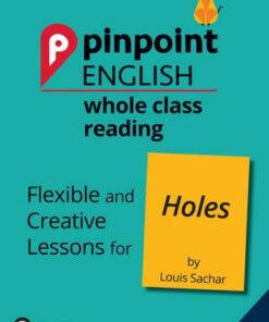 Pinpoint English Whole Class Reading Y6: Holes: Flexible and Creative Lessons for Holes (by Louis Sachar) - Rachel Axten-Higgs - 9781292274027