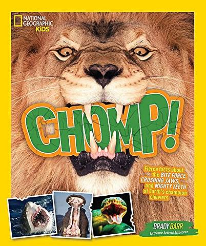 Chomp!: Fierce facts about the BITE FORCE