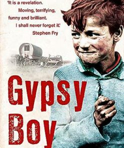 Gypsy Boy: The bestselling memoir of a Romany childhood - Mikey Walsh - 9780340977989