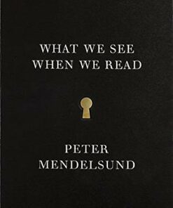 What We See When We Read - Peter Mendelsund - 9780804171632