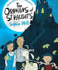 The Orphans of St Halibut's - Sophie Wills - 9781529013375