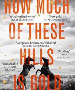 How Much of These Hills is Gold: Longlisted for the Booker Prize 2020 - C Pam Zhang - 9780349011462