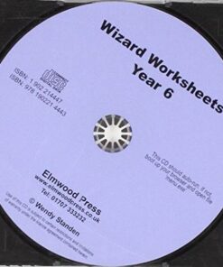 Wizard Worksheets: Year 6 - Wendy Standen - 9781902214443
