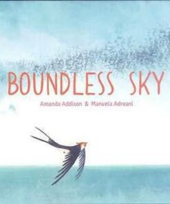Boundless Sky - Amanda Addison - 9781911373674