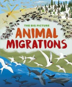 The Big Picture: Animal Migrations - Jon Richards - 9781445169866
