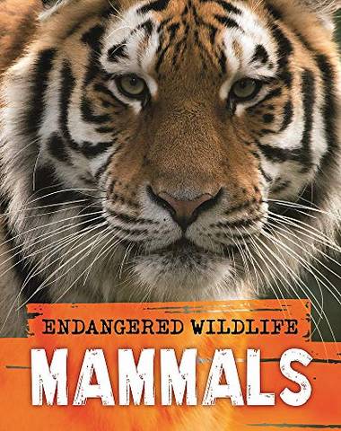 Endangered Wildlife: Rescuing Mammals - Anita Ganeri - 9781526309693