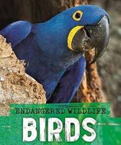 Endangered Wildlife: Rescuing Birds - Anita Ganeri - 9781526309921