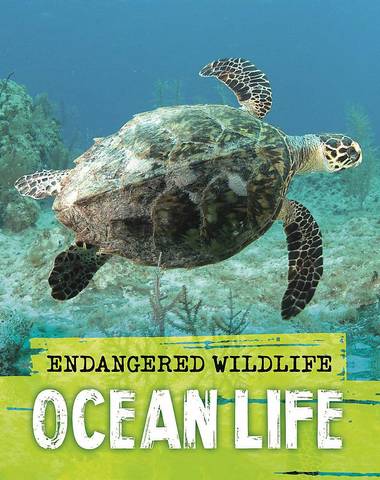 Endangered Wildlife: Rescuing Ocean Life - Anita Ganeri - 9781526309990
