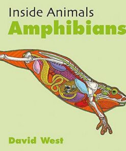 Inside Animals: Amphibians - David West - 9781526310828