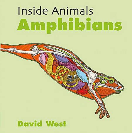 Inside Animals: Amphibians - David West - 9781526310828