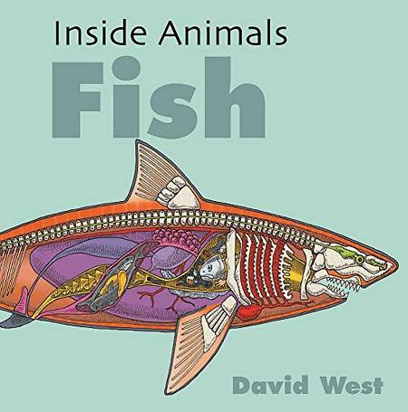 Inside Animals: Fish - David West - 9781526310866