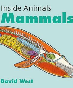 Inside Animals: Mammals - David West - 9781526310903