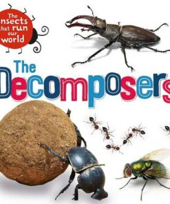 The Insects that Run Our World: The Decomposers - Sarah Ridley - 9781526314031