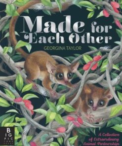Made for Each Other - Georgina Taylor - 9781787414242
