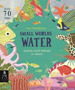 Small Worlds: Water - Lara Hawthorne - 9781787415621