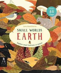 Small Worlds: Earth - Lara Hawthorne - 9781787415638