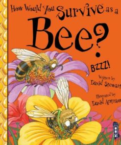 How Would You Survive As A Bee? - David Stewart - 9781913337735
