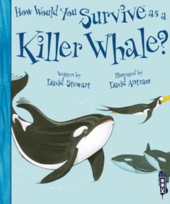 How Would You Survive As A Killer Whale? - David Stewart - 9781913337742