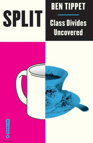 Class Divide Text Split: Class Divides Uncovered | Heath Educational Books